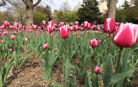 How to enjoy Earth Day in Baltimore