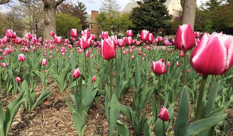 How to enjoy Earth Day in Baltimore