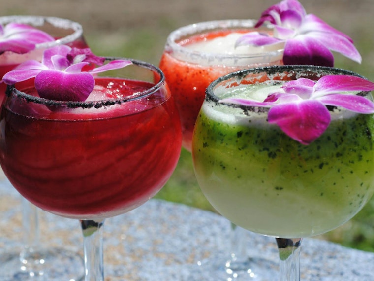 You So Salty: Austin's Best Margaritas, Ranked