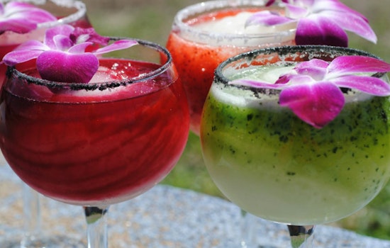 You So Salty: Austin's Best Margaritas, Ranked