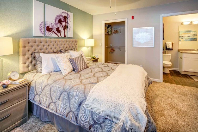 What will $1,000 rent you in Colorado Springs, this month?