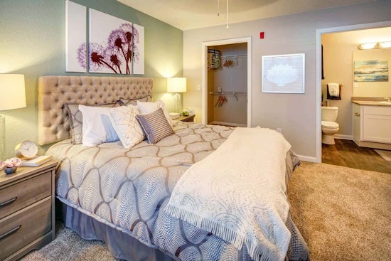What will $1,000 rent you in Colorado Springs, this month?