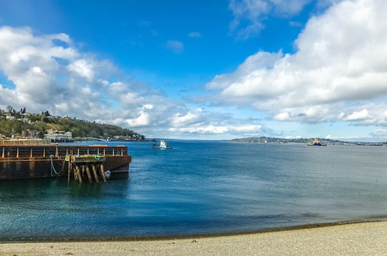 Top Seattle news: Dead gray whale found in Elliott Bay; highest paid Seattle-area CEO