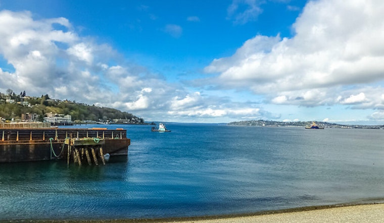 Top Seattle news: Dead gray whale found in Elliott Bay; highest paid Seattle-area CEO