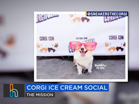 This Weekend: Beer Camp, Corgi Con Ice Cream Social, Labor History Through Dance
