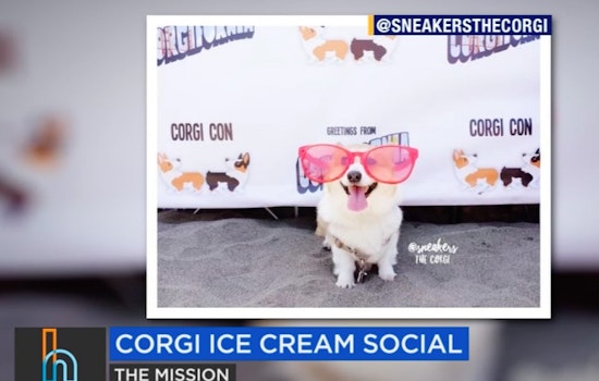 This Weekend: Beer Camp, Corgi Con Ice Cream Social, Labor History Through Dance