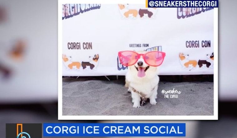 This Weekend: Beer Camp, Corgi Con Ice Cream Social, Labor History Through Dance