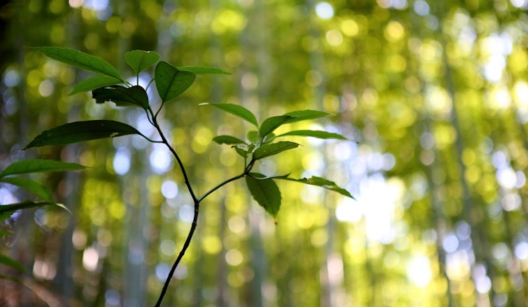 Fun community and culture events in Indianapolis this weekend
