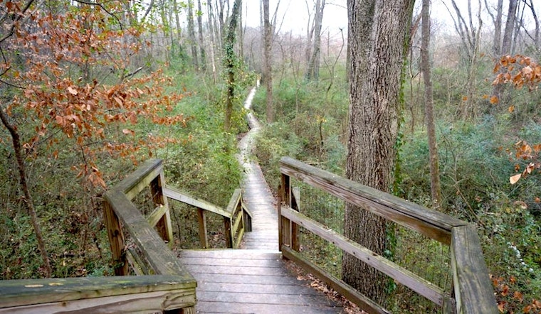 Atlanta's Best Urban Hikes—And Where To Brunch Afterwards