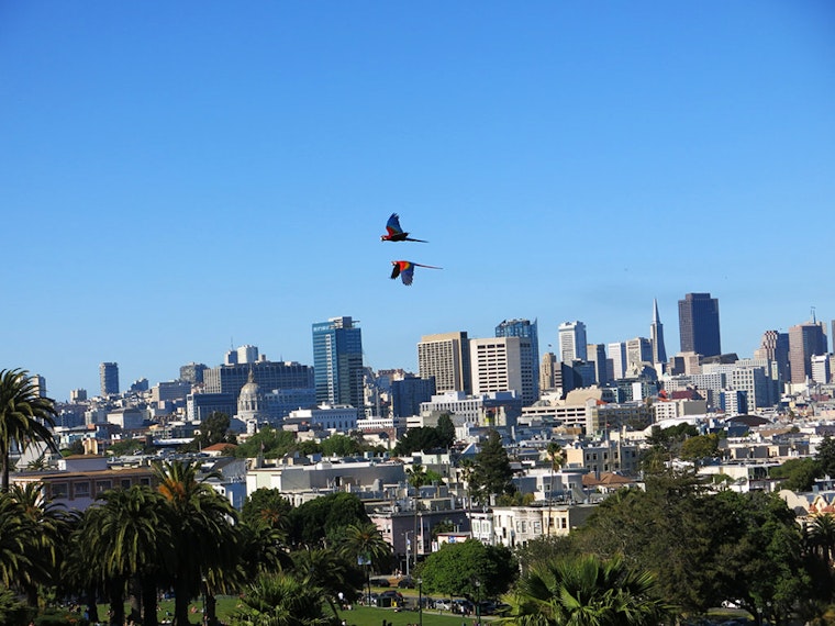 27 Ways To Enjoy The Most Out Of Your San Francisco Weekend