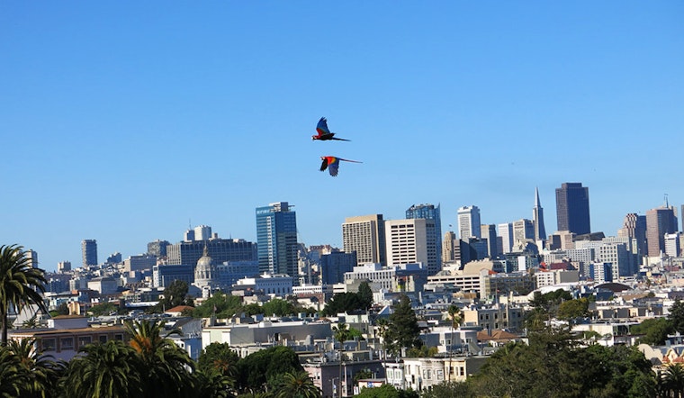 27 Ways To Enjoy The Most Out Of Your San Francisco Weekend