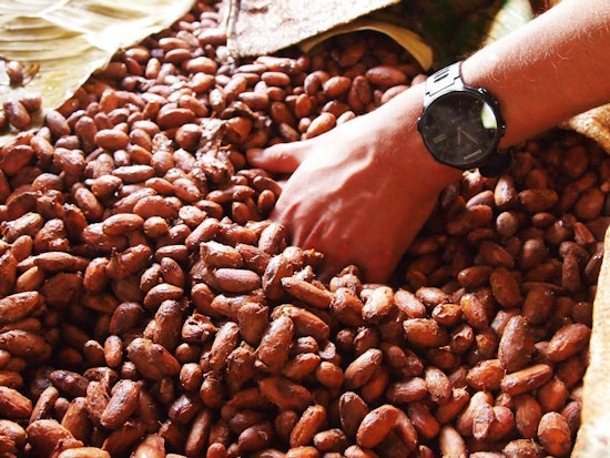 This Weekend: Chocolate, Free Music, And A Triathlon From Alcatraz Island