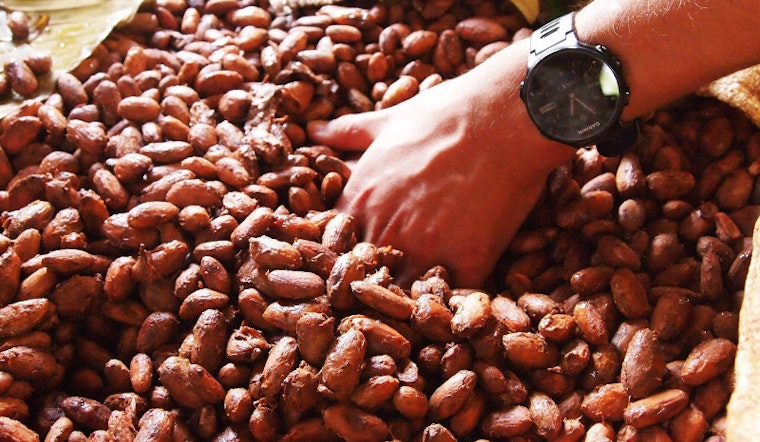 This Weekend: Chocolate, Free Music, And A Triathlon From Alcatraz Island