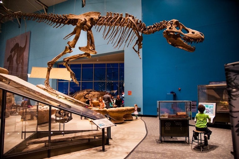 Here's what to do in Baltimore this week