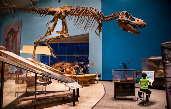 Here's what to do in Baltimore this week