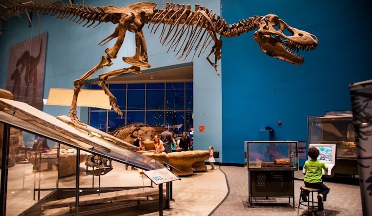 Here's what to do in Baltimore this week
