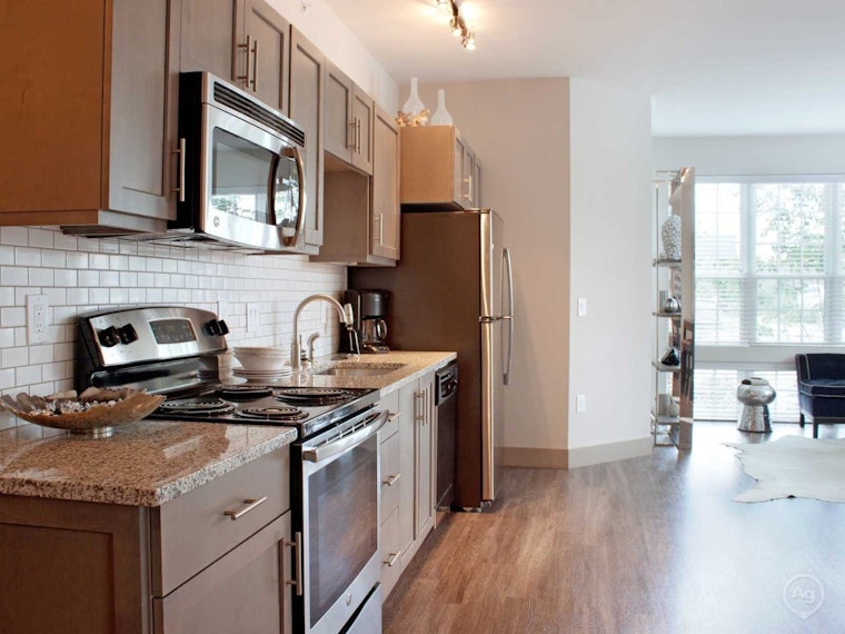 What will $1,000 rent you in Downtown, today?