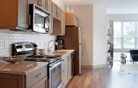 What will $1,000 rent you in Downtown, today?