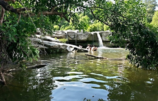 Austin's Best Urban Hikes—And Where To Brunch Afterwards