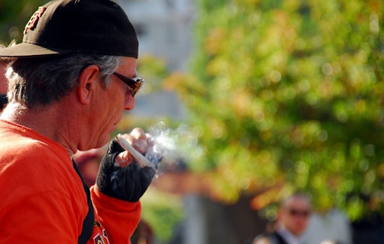 Wednesday: Bay Area Cannabis Pros Discuss Industry's Future
