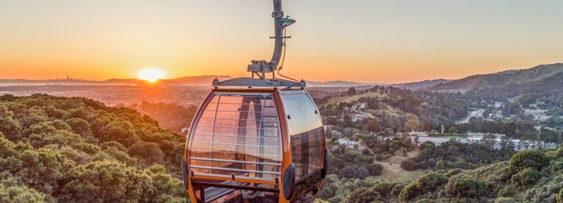 After Delays, Oakland Zoo Opens New Gondola, Hilltop Restaurant
