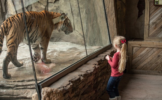 Top Jacksonville news: Woman charged with defrauding FEMA; zoo now certified as sensory inclusive
