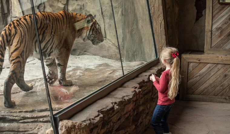 Top Jacksonville news: Woman charged with defrauding FEMA; zoo now certified as sensory inclusive