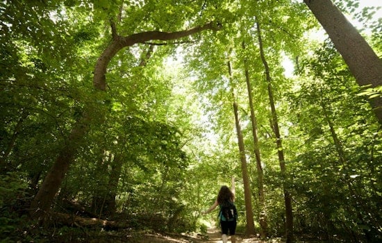 Washington D.C.'s Best Urban Hikes—And Where To Brunch Afterwards