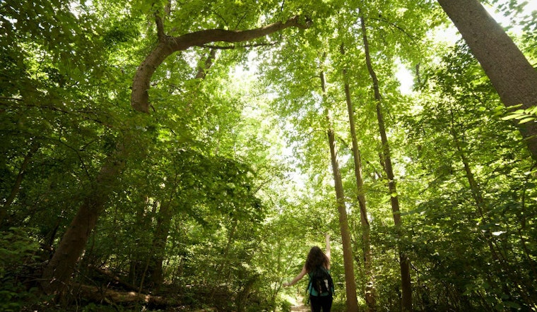 Washington D.C.'s Best Urban Hikes—And Where To Brunch Afterwards
