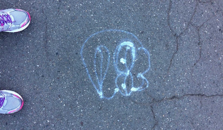 'Pepe The Frog' Graffiti Crops Up In Golden Gate Park