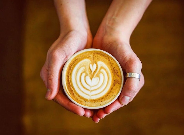 Colorado Springs's top 5 coffee roasteries to visit now