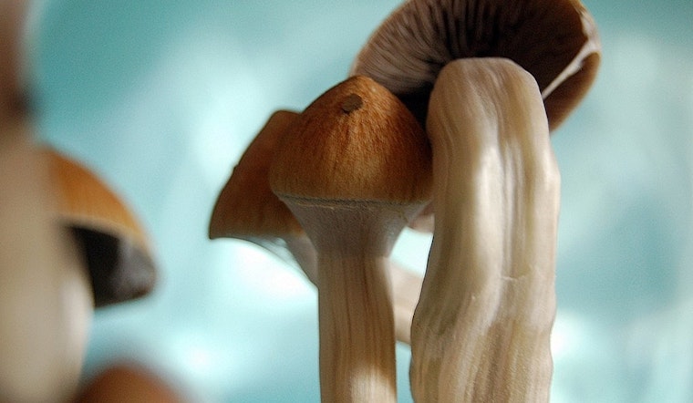 Top Denver news: City may be first to decriminalize psilocybin; handcuffing of students under review