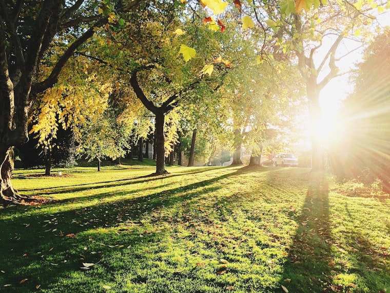 5 top community and culture events in Sacramento this weekend