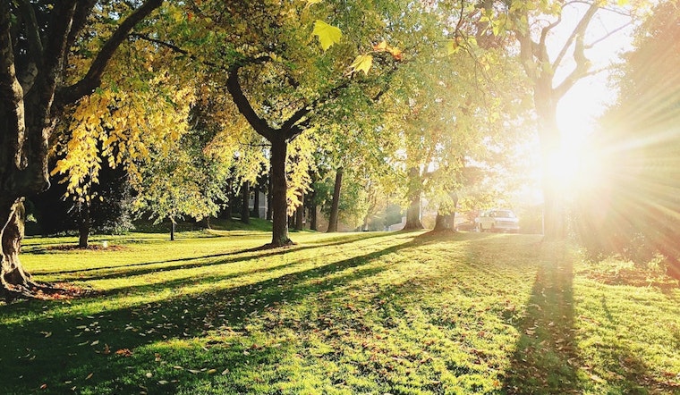 5 top community and culture events in Sacramento this weekend
