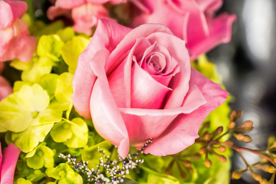 The 5 best florists in Charlotte