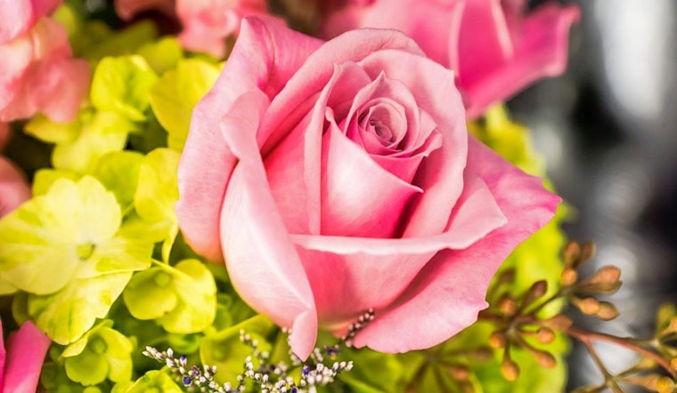 The 5 best florists in Charlotte