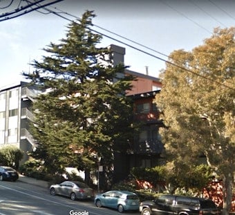 Public Works Threatens Fines, Jail Time For Illegal Tree Removal