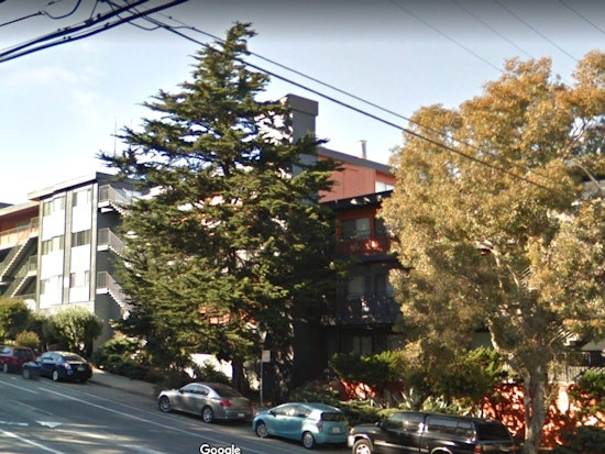 Public Works Threatens Fines, Jail Time For Illegal Tree Removal