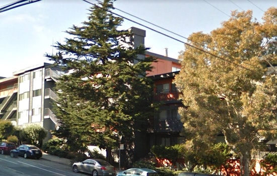Public Works Threatens Fines, Jail Time For Illegal Tree Removal