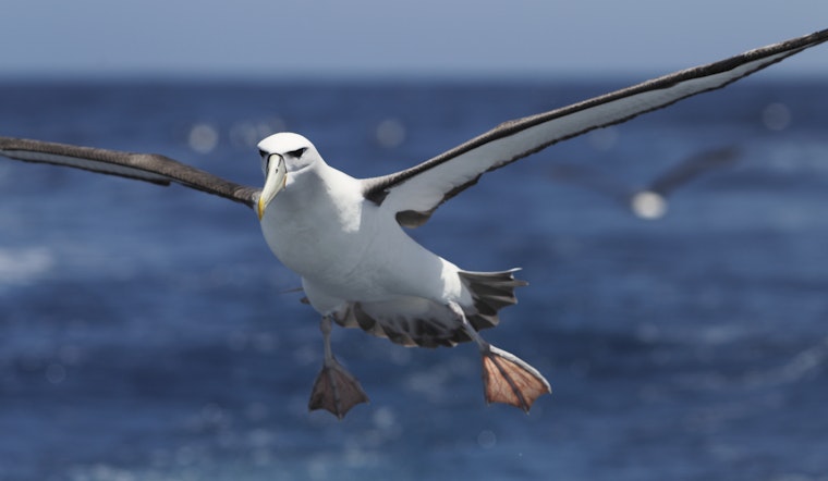 Here's a look at the best of local Twitter in St. Louis