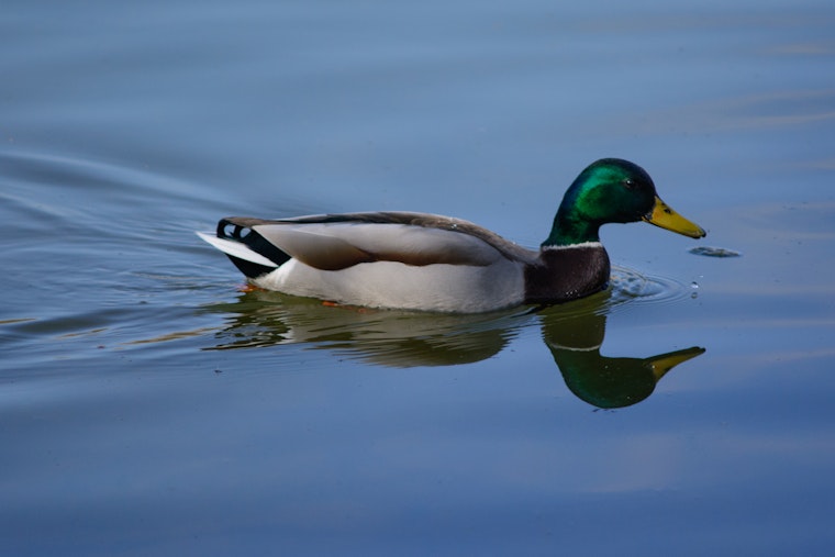Check out Albuquerque's top recent community tweets