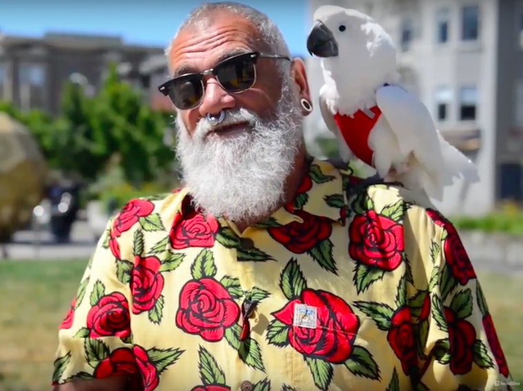 Hayes Valley Resident Turns Heads With Feathered Companion
