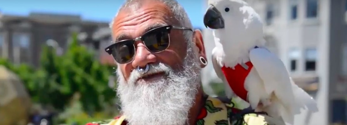 Hayes Valley Resident Turns Heads With Feathered Companion