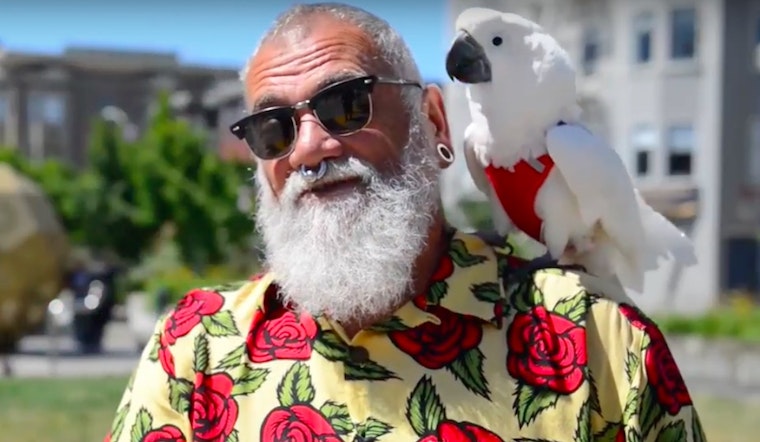 Hayes Valley Resident Turns Heads With Feathered Companion