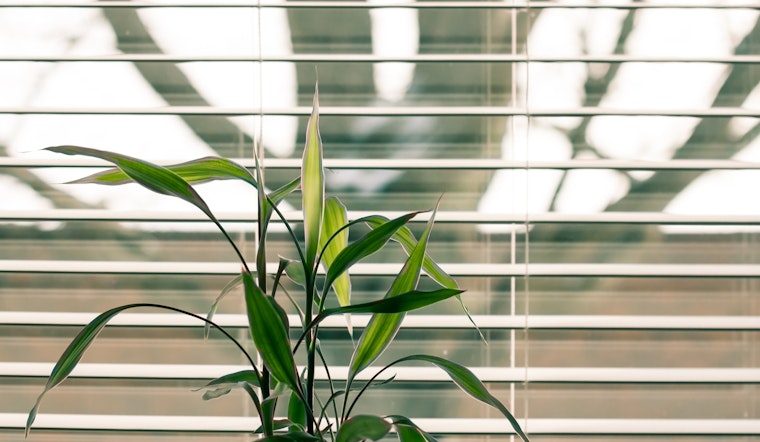Louisville to see more warm temperatures ahead