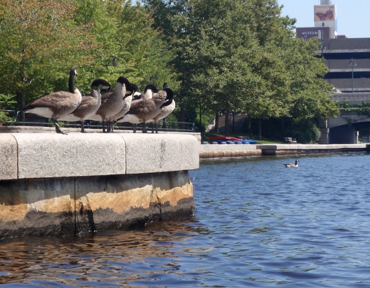 Check out the best local health tweets from Philadelphia
