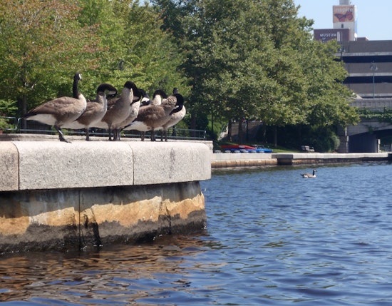 Check out the best local health tweets from Philadelphia