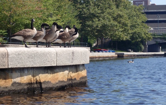 Check out the best local health tweets from Philadelphia