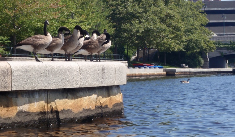 Check out the best local health tweets from Philadelphia