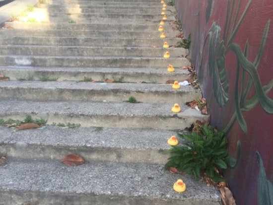 Release The Quacken: Toy Ducks Reappear In Noe Valley